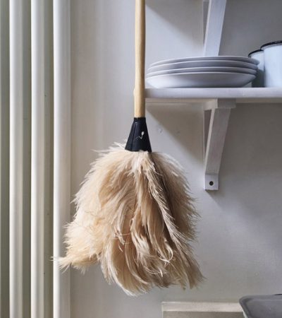 Lisa Valentine Feather Duster